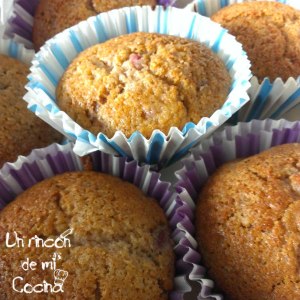 magadenas de fresas 1