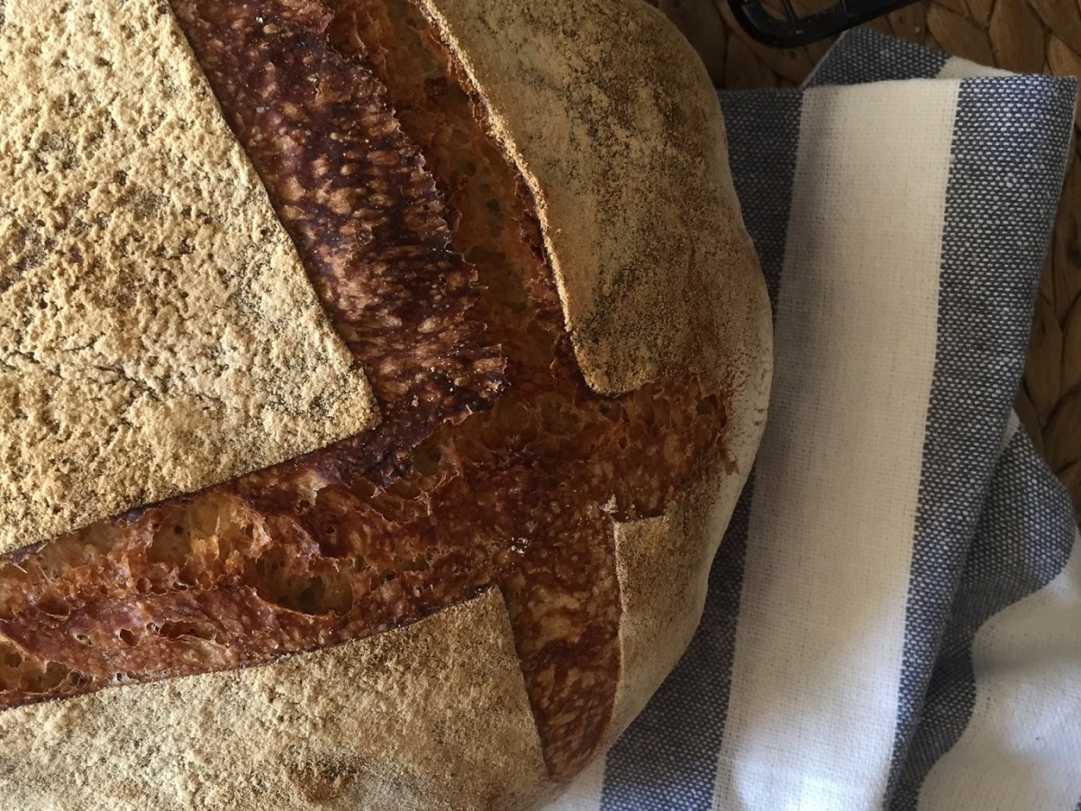 Pan sencillo poolihs